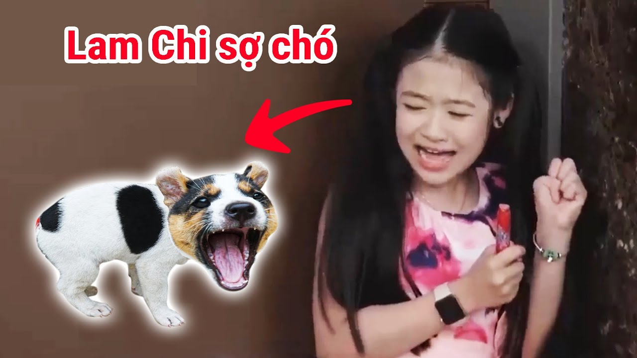 Gia đ&igrave;nh l&agrave; số 1 Phần 2 | Lam Chi kh&ocirc;ng chịu thua bất cứ ai trừ CH&Oacute;