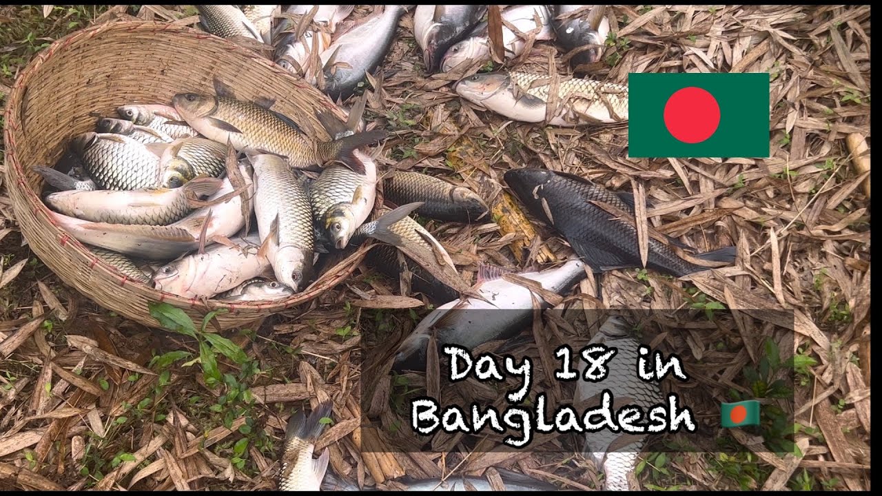 Day 18 in Bangladesh | Fishing in the Village, 2nd Day of Ramadan 