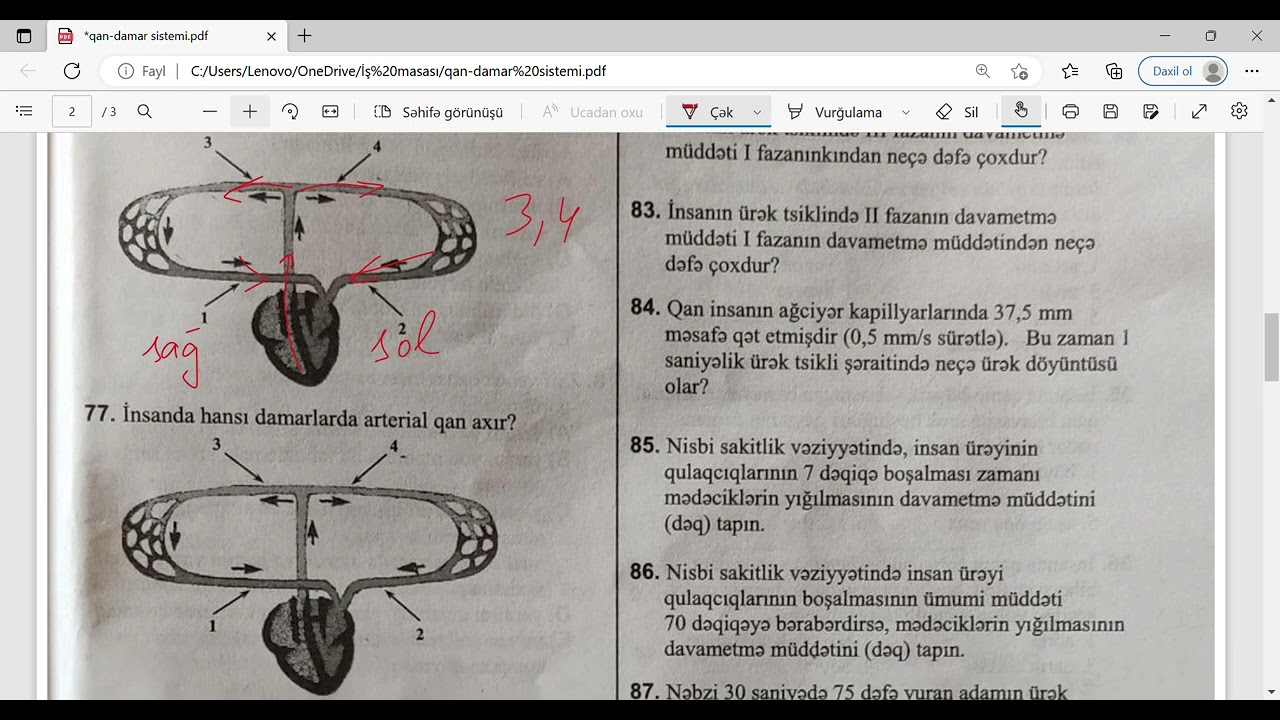 DİM test toplusu. Ürək va qan damarları test izahı N_ 61-96. MİQ hazırlığı. Əlaqə: 055-634-73-41