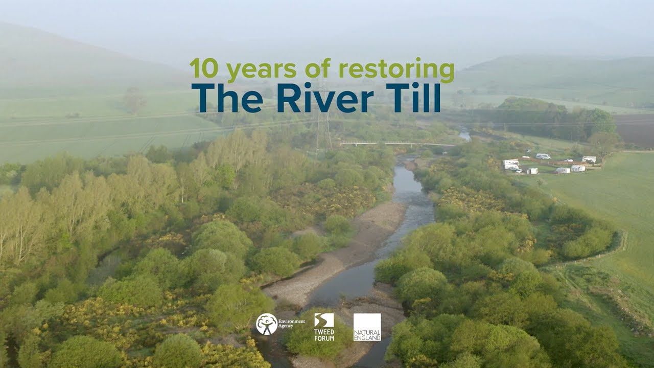 Ten Years of Restoring the River Till in Northumberland