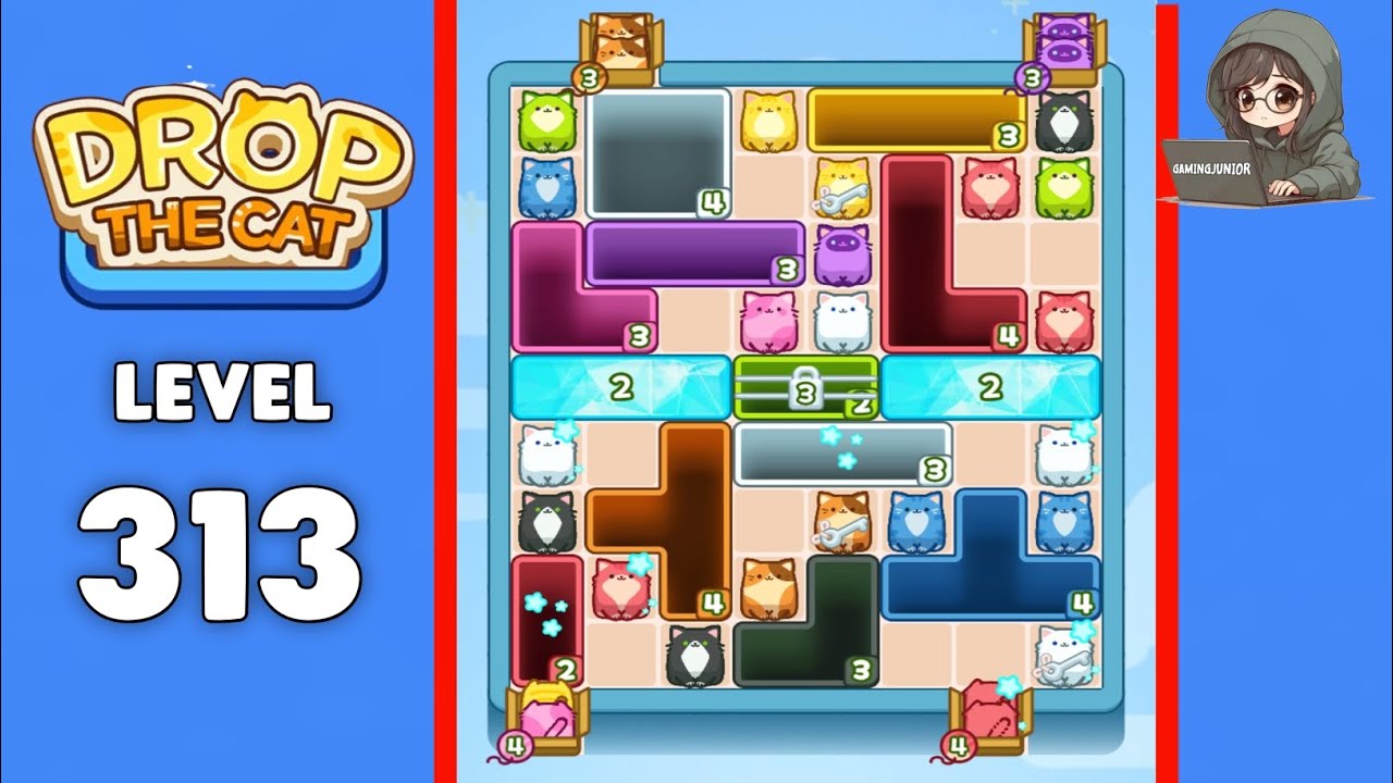 Drop The Cat level 313 solution