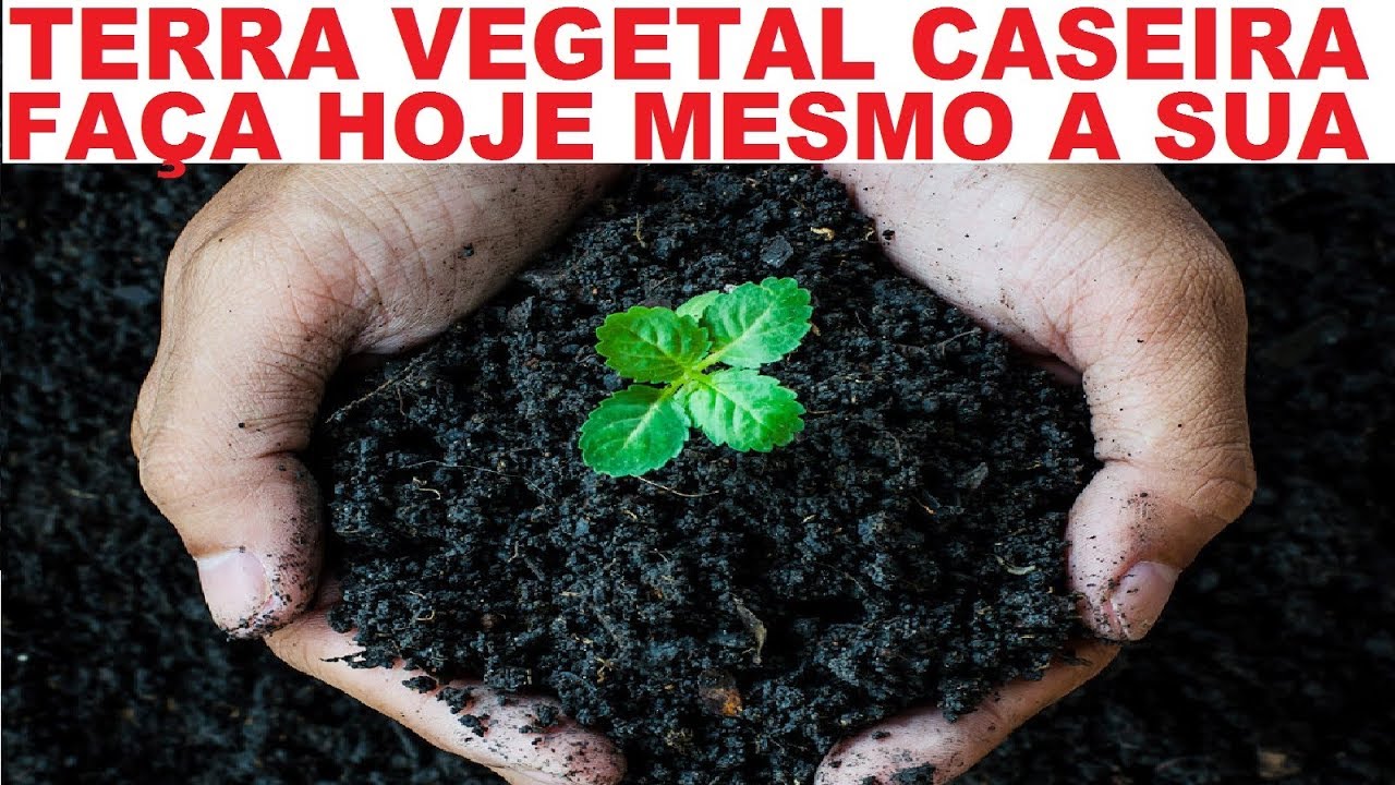 Terra Vegetal Grátis e Caseira! Produza hoje mesmo a sua!