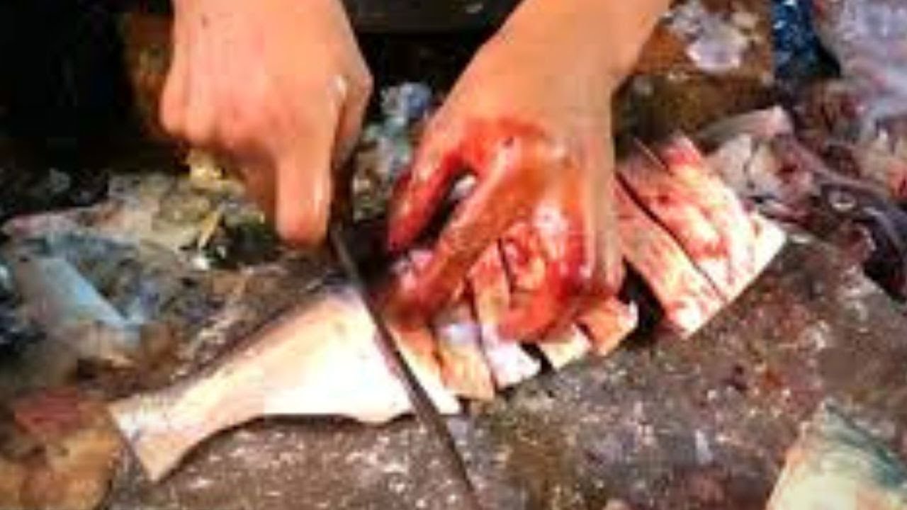 Fastest Cutting Fish Skills, Amazing Hilsa Ilisha Fish Cutting In Fish Market 2020