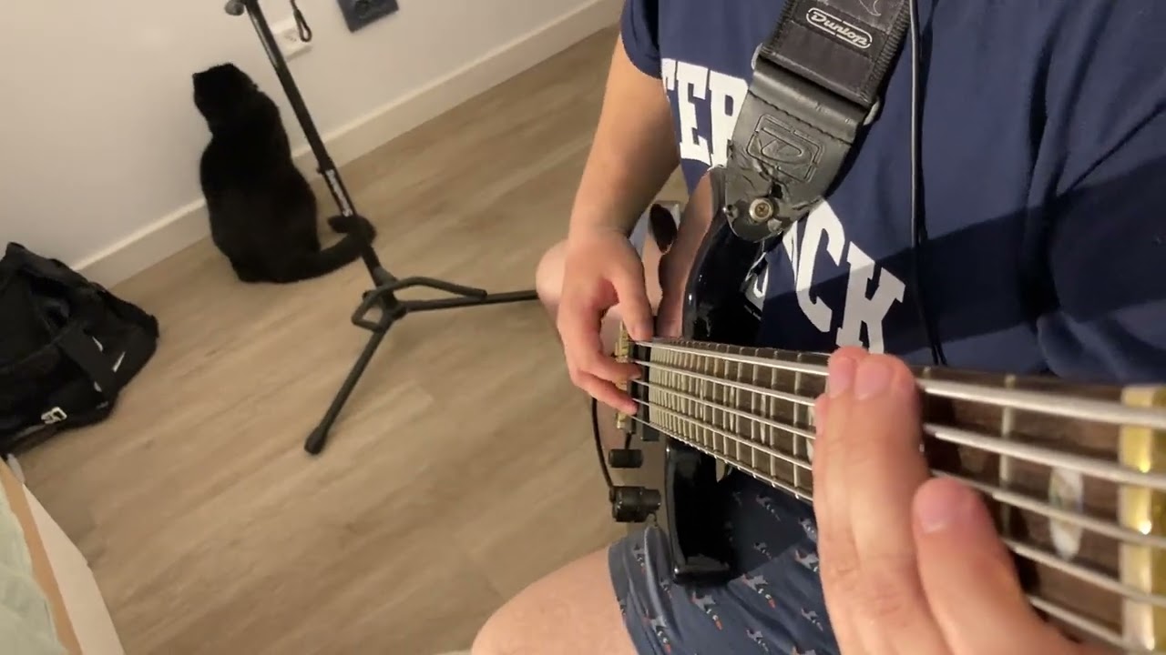 In Dying Days - As Blood Runs Black bass cover