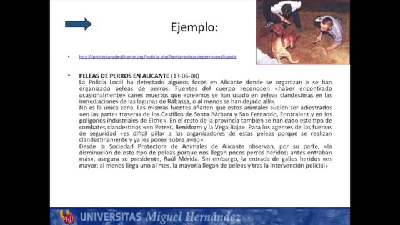 Lec007 Figuras Contractuales IV (umh1438sp 2014-15)