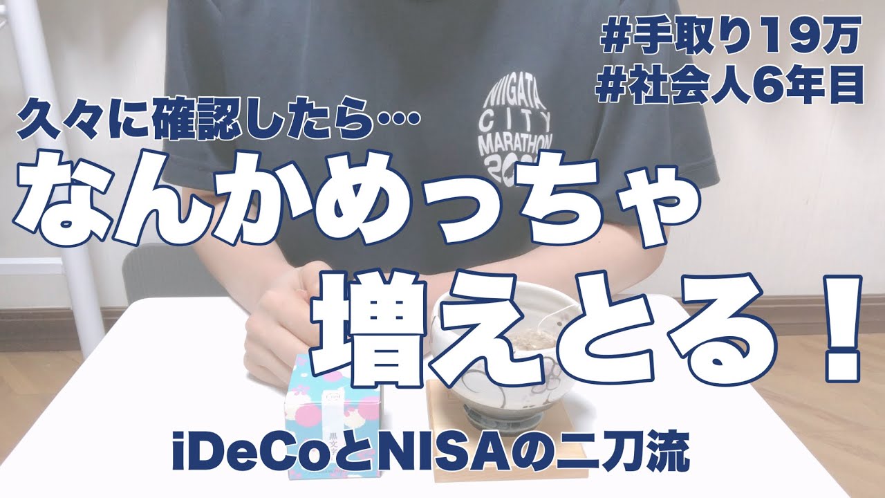 【運用実績公開】iDeCoとNISAの二刀流／約2年積み立てた結果&hellip;