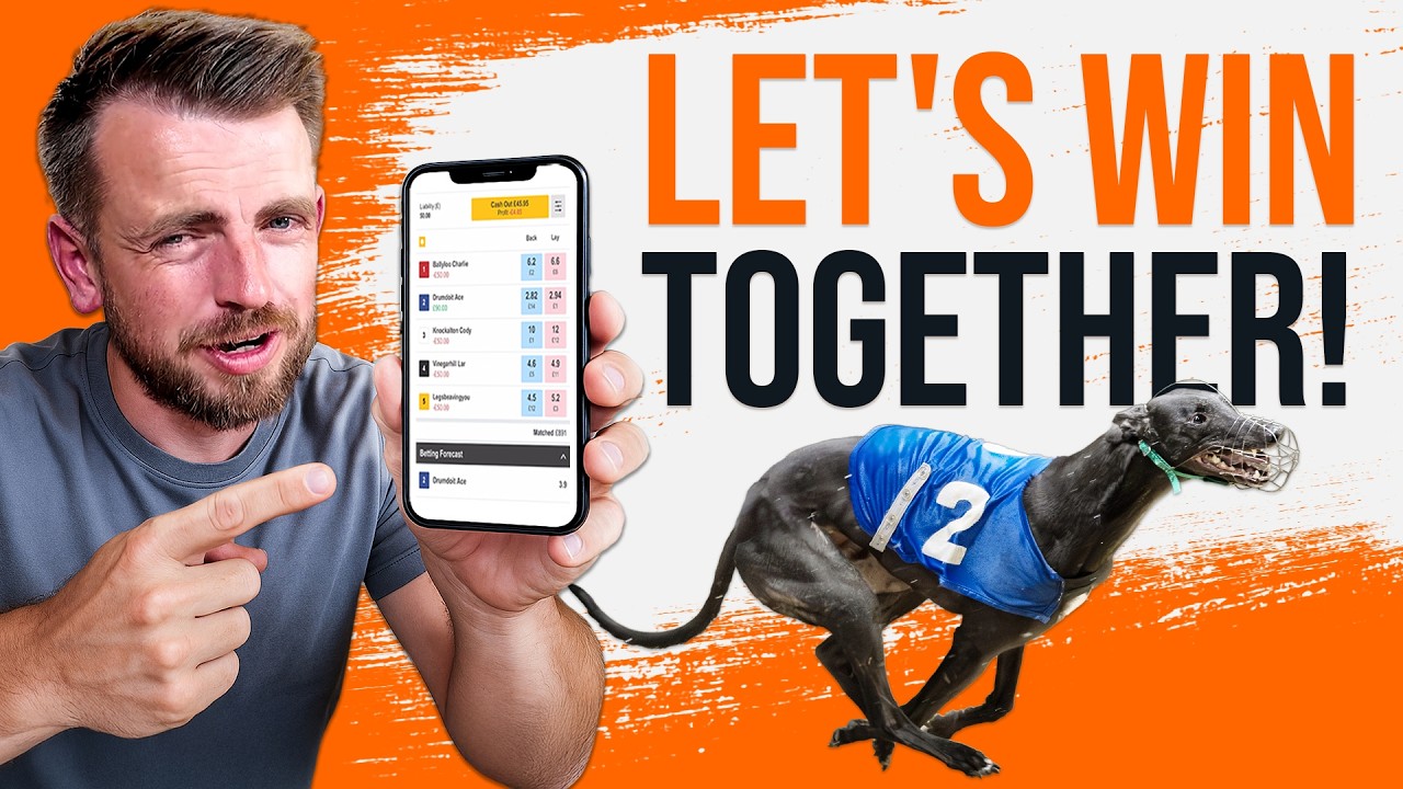 How I Pick My Bets. | A Guide to Betting On Greyhound Racing!