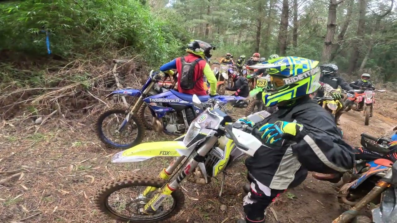 Raid Tolten Agosto 2025 Resumen