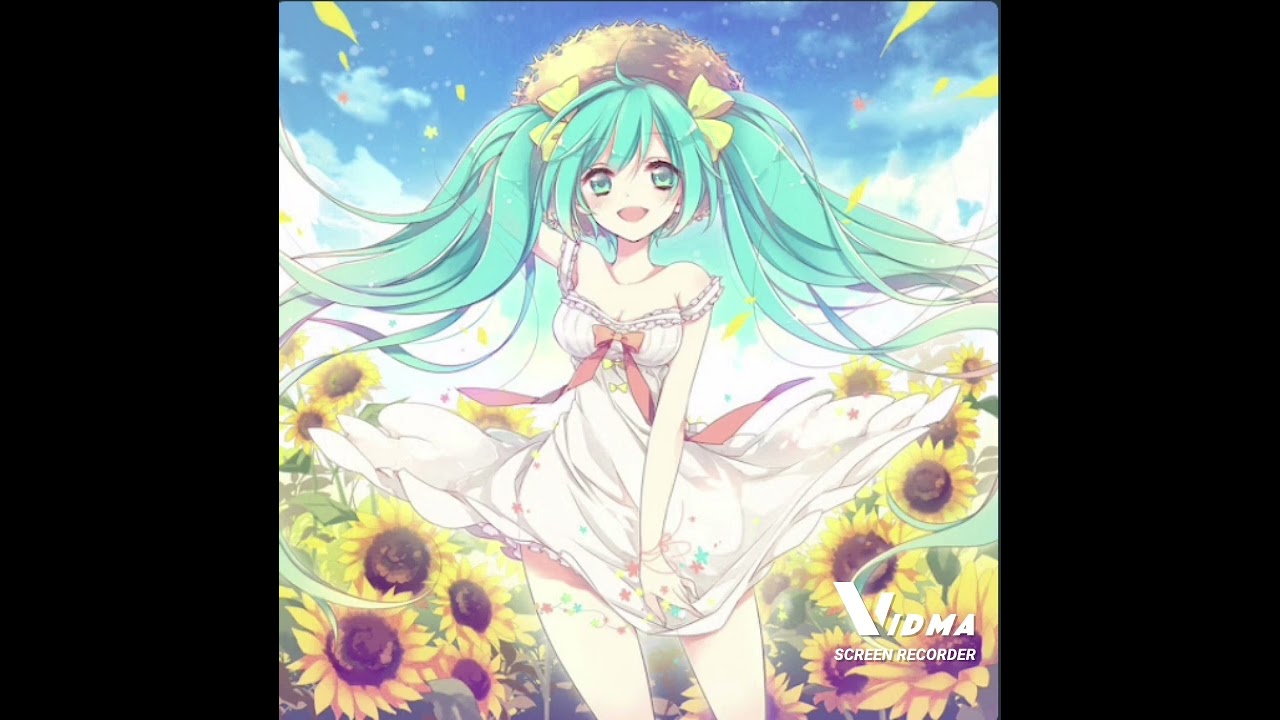 Harehare Ya (Tik Tok) By: Ti&ecirc;u Mao, TikTok & NSZX