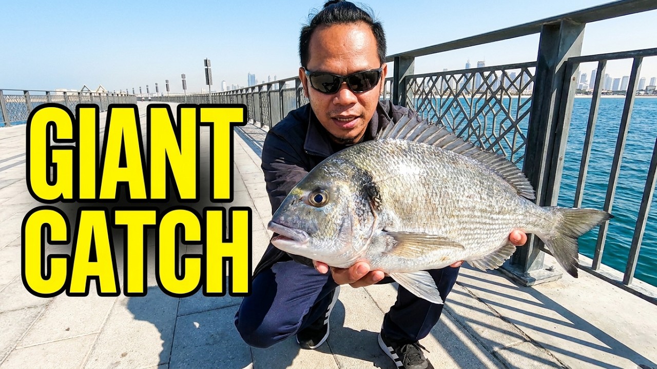 EID Holiday Fishing in Dubai: Big Seabreams Caught!
