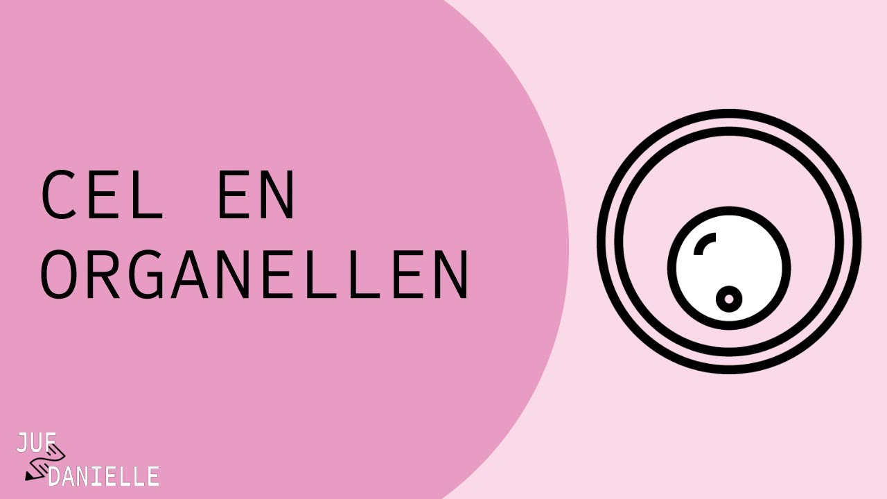 Cel en Organellen