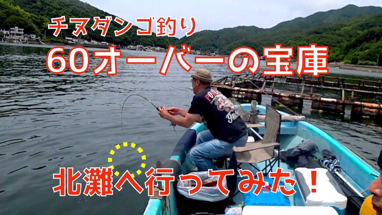 【ダンゴ釣り】60オーバーのチヌが高確率で釣れる北灘行ってみた！