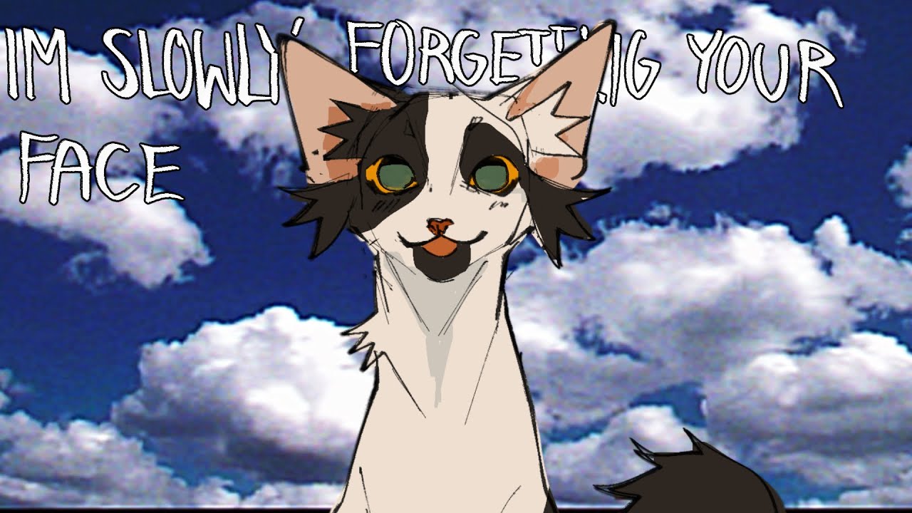 im slowly forgetting your face - swiftpaw