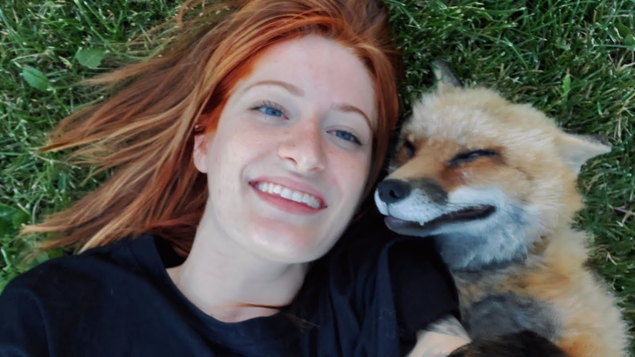 Finnegan Fox plays with his friend Vixie Fox