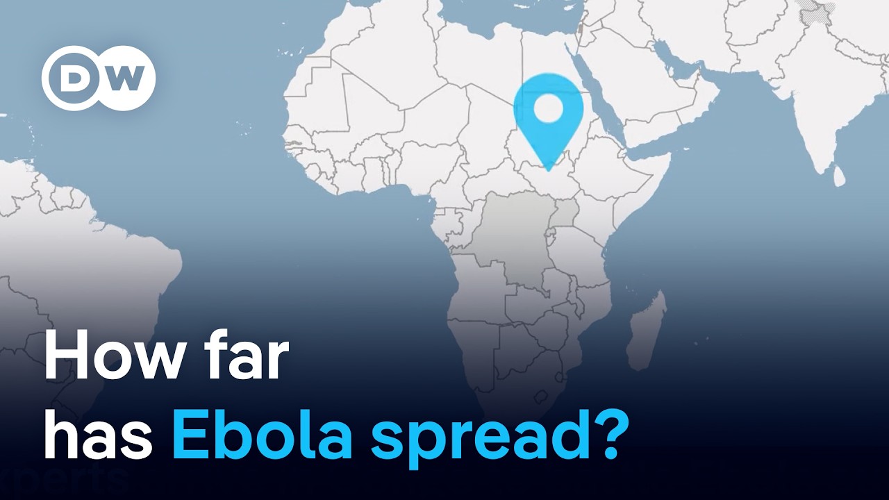 Rare strain of deadly Ebola virus went undetected for weeks in DR Congo | DW News