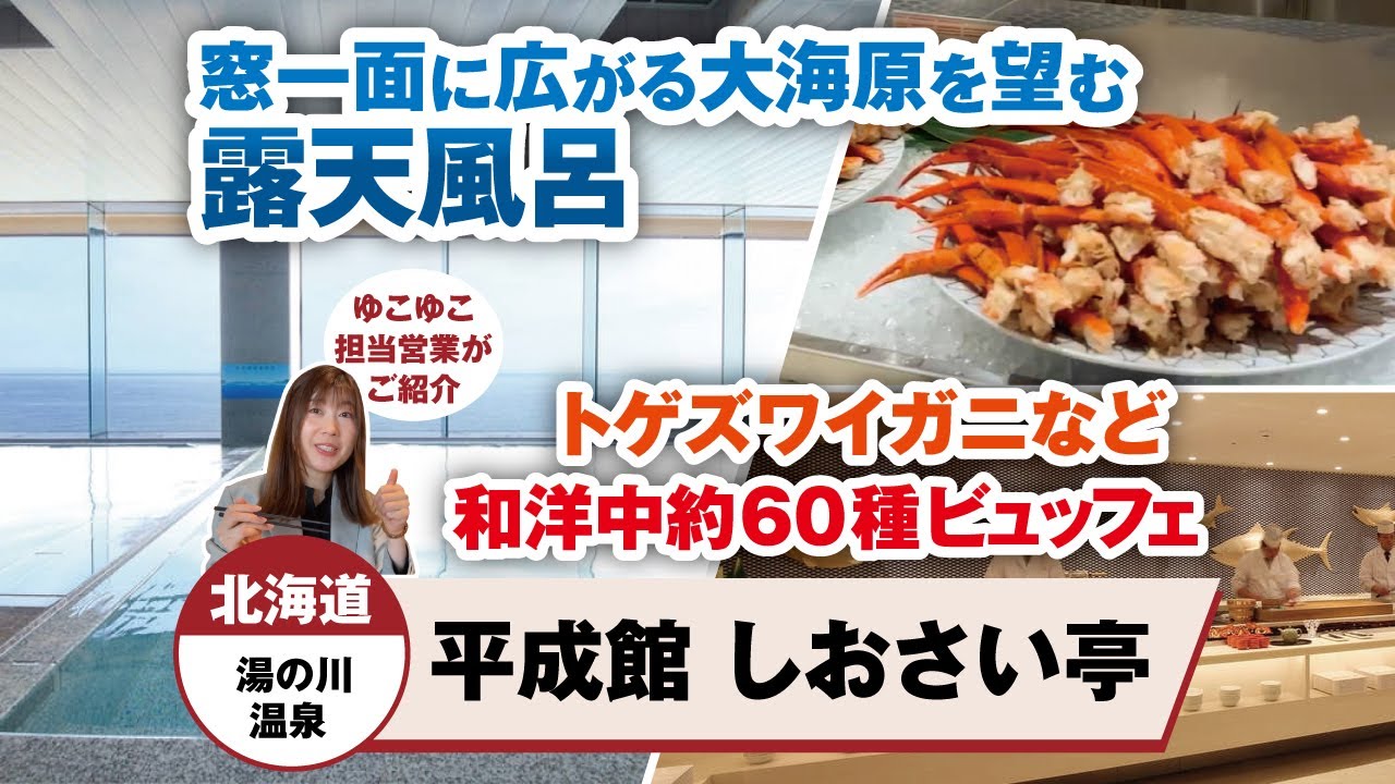 北海道  湯の川温泉  平成館　しおさい亭