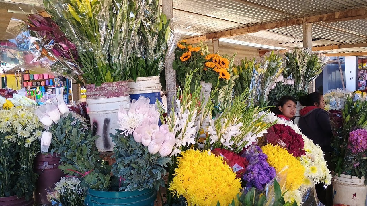 Un lugar hermoso lleno de flores 💐💐