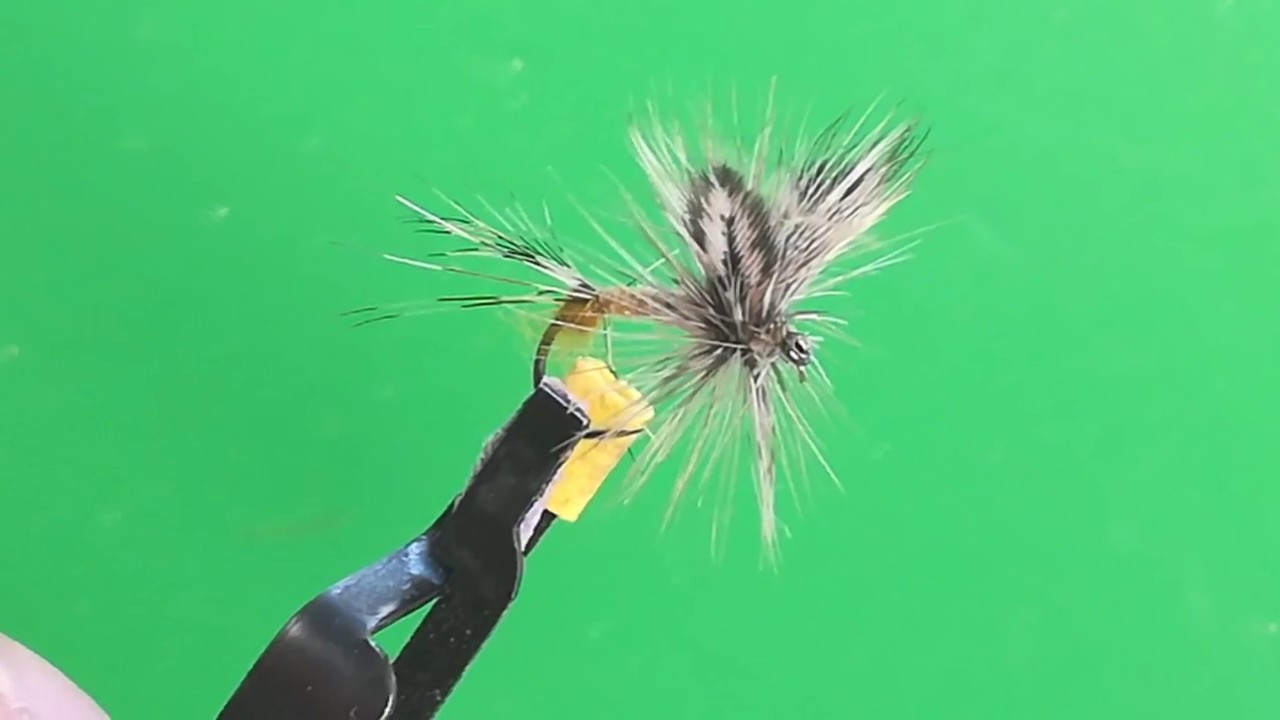 El gran Pardón