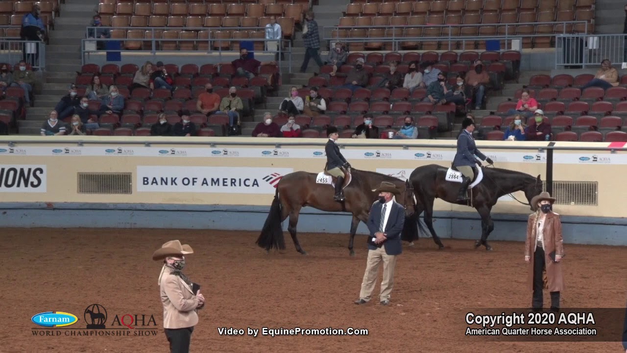 2020 AQHA Amateur Hunter Under Saddle