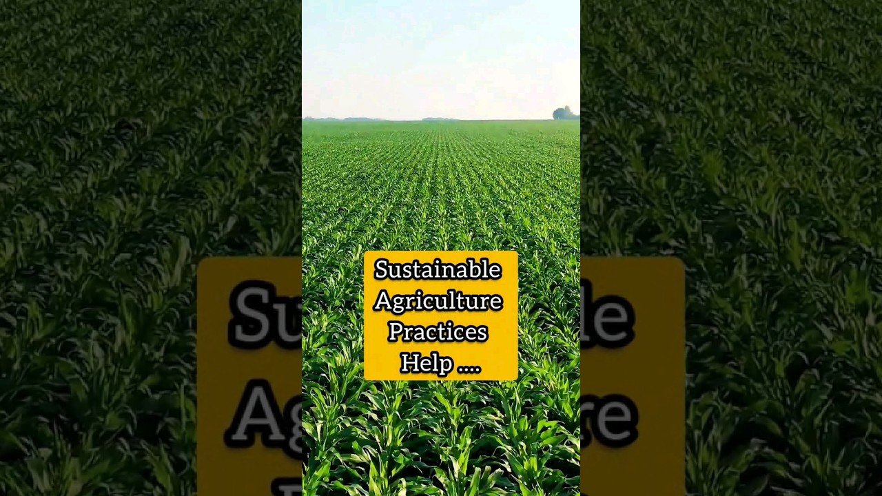 Protect Soil health, Reduce Erosion, and Conserve Water - Sustainable Agriculture Practices