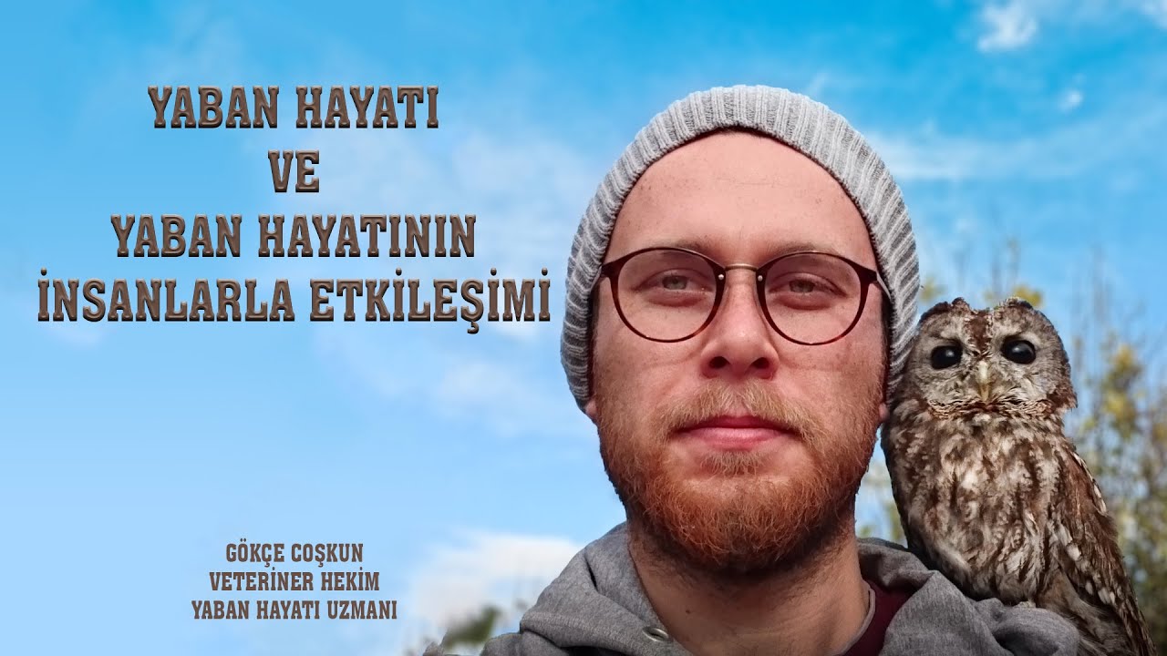 Yaban Hayatı ve Yaban Hayatının İnsanlarla Etkileşimi