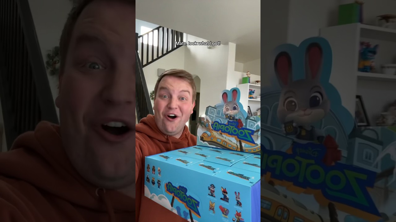 Zootopia Mystery Figures!