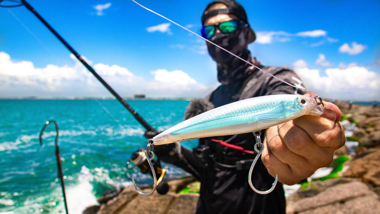 rarest fish CAUGHT FROM LAND! insane bait and conditions