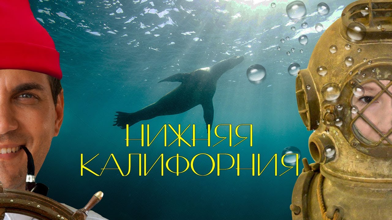 Баха Калифорния самостоятельно. Свидание с китами
