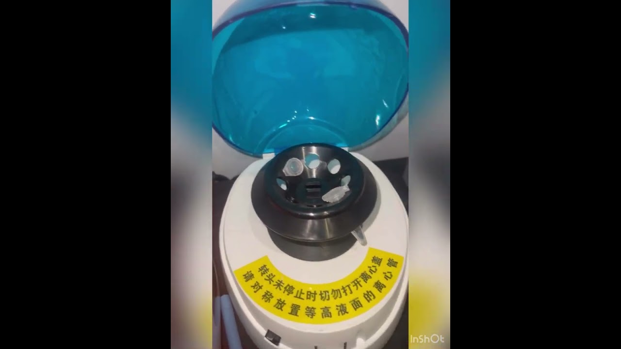 How to run a canine Pregnancy Test!