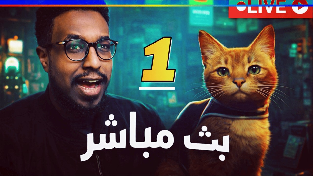 هيجي 14 | Stray | لعبة القط الضائع – بث مباشر 🐱🌆🔥 الحلقة الاولى (1)