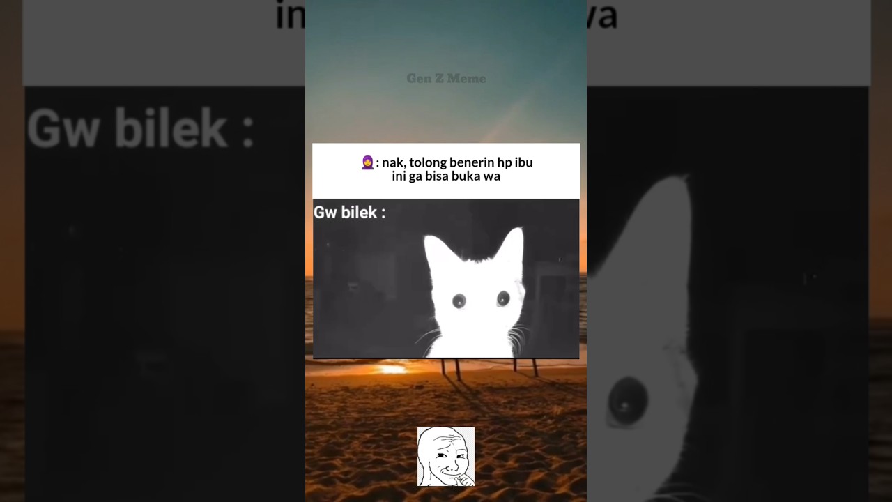layarnya se-terang cahaya ilahi☠️#memes#funny#cat#shorts#4u