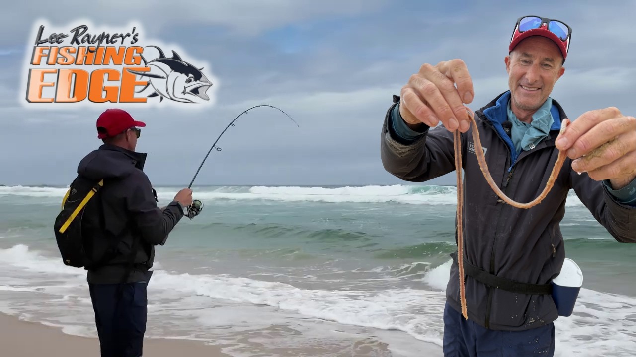 FINALLY: Caught Beach Worms, Turned It Into Busy Surf Session 