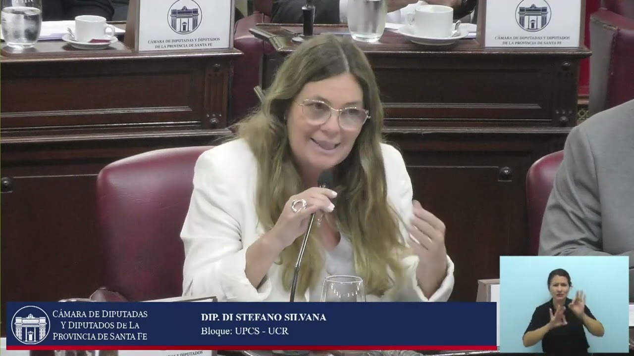 INTERVENCION DIPUTADA DI STEFANO SILVANA - SESIÓN ORDINARIA Nº11 -PERIODO ORDINARIO 143º - 13/11/25