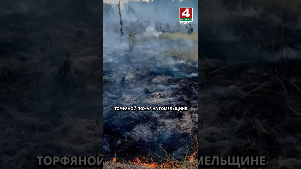 ТОРФЯНОЙ ПОЖАР НА ГОМЕЛЬЩИНЕ #гомель #новости #беларусь