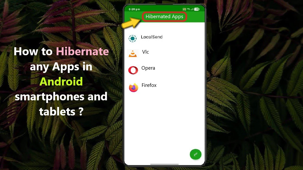 How to Hibernate any Apps in Android smartphones and tablets ?