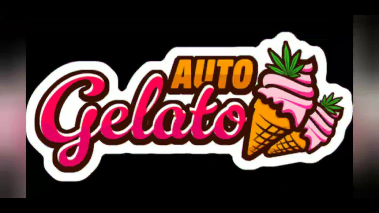Fast buds gelato day 56/52 fast buds blackberry day 48 sonoma seed purple kush day 56