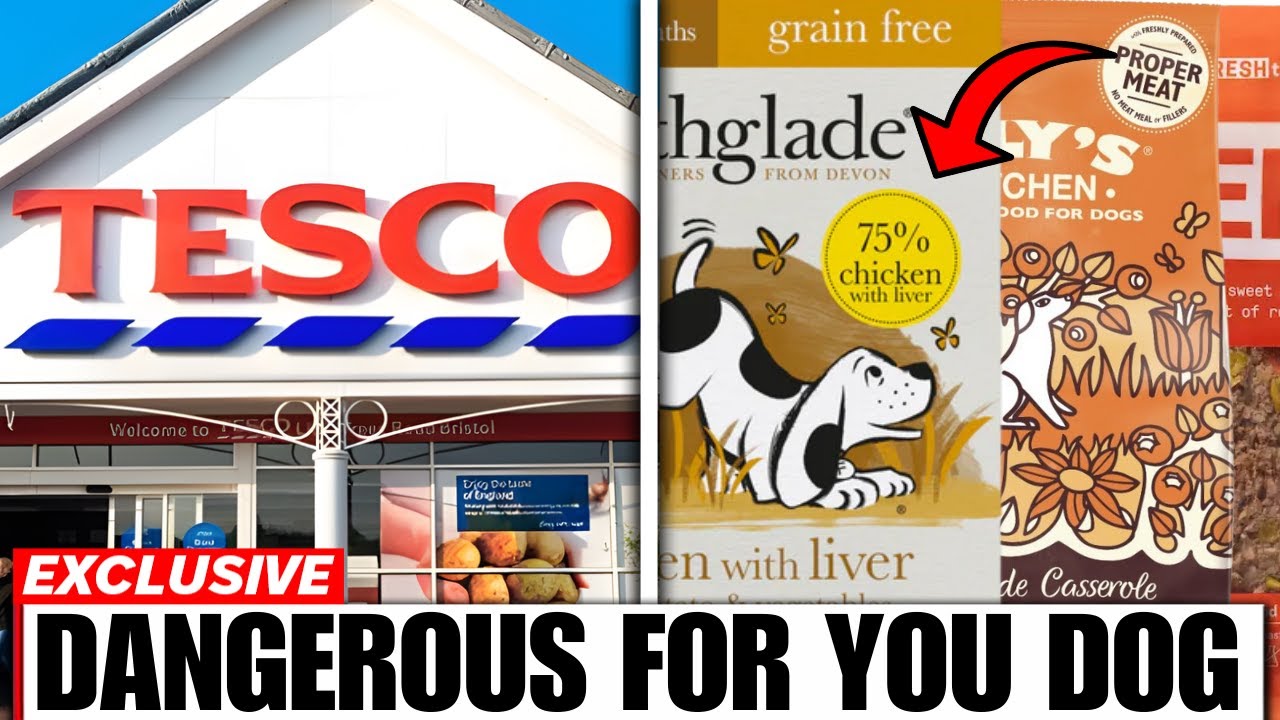 10 UK Dog Food Brands To AVOID At All Costs! (And Few That Are Safe!)