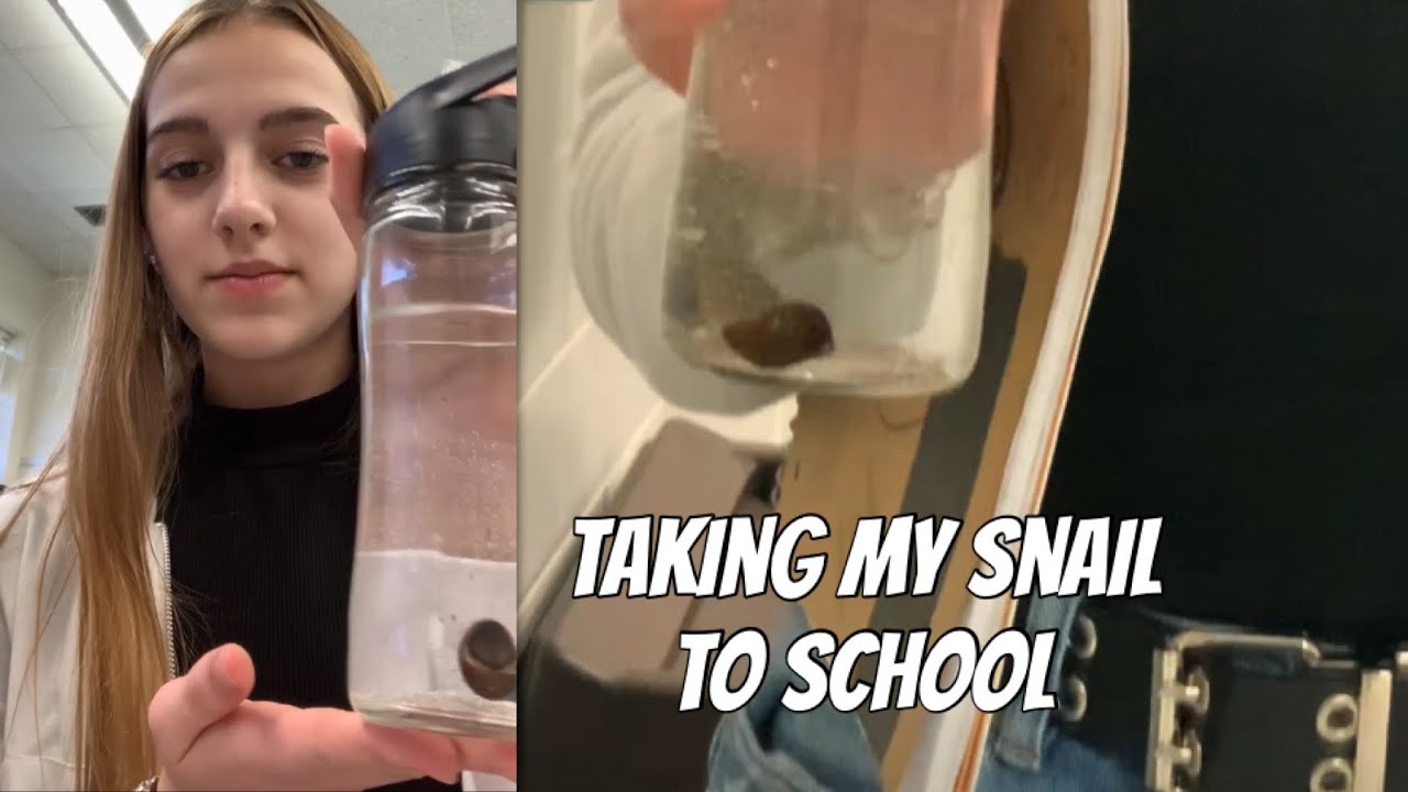 Taking My Pet Snail To School | Chloe Renee