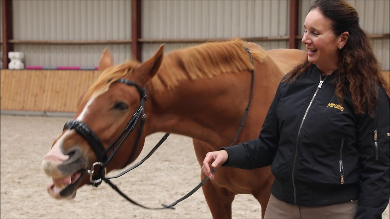 vlog #7 Het jonge paard deel 1 (S1 7/8)