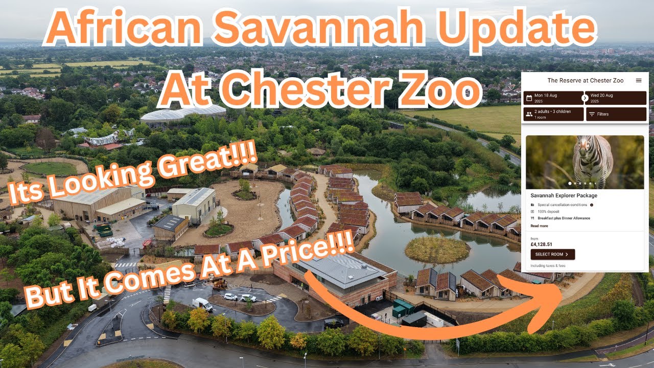 Chester Zoo African Savannah Development by drone July 2025 (Episode 9). ITS VERY NEARLY COMPLETE!