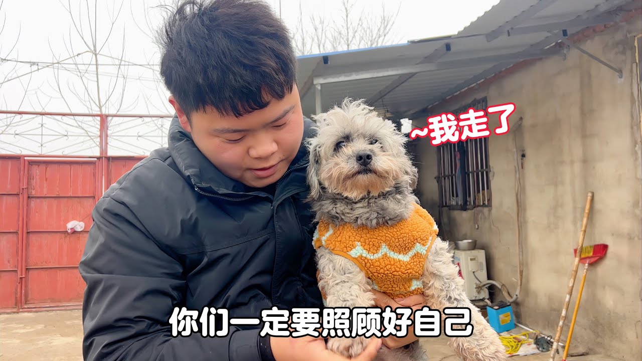 曾經受苦受難的流浪狗，如今涅槃重生被領養出國，找到了好的歸宿