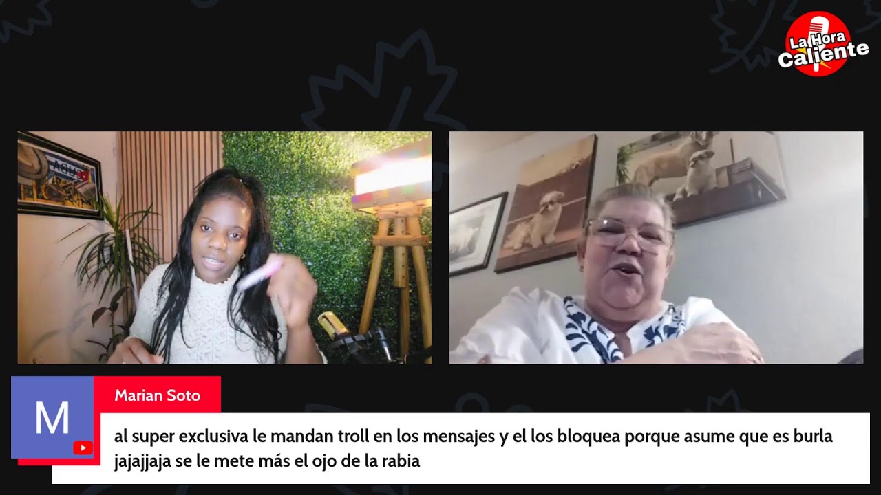 El descaro hasta el piso y el perro hasta el cielo. Crónicas de un final avisado.