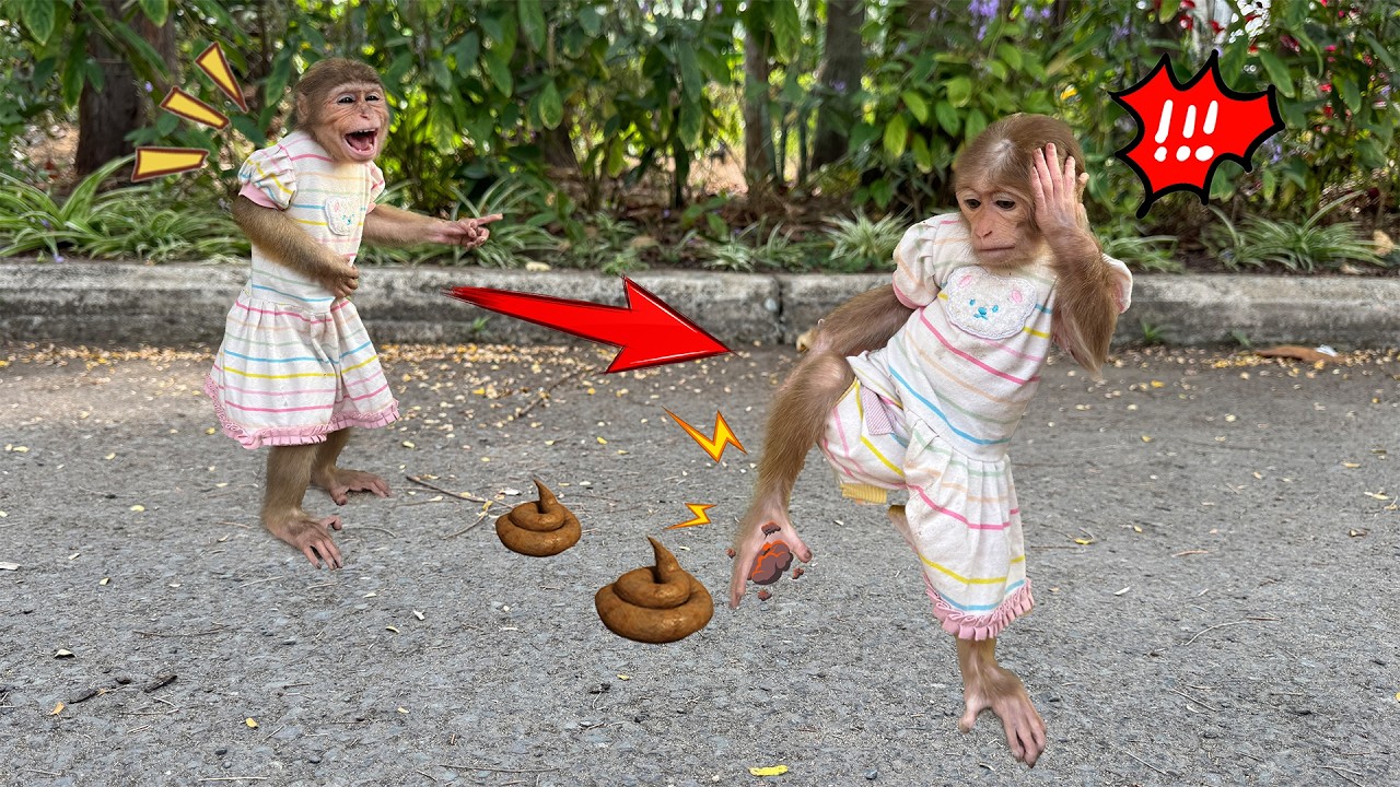 Funny! Sunny&rsquo;s awkward situation makes Lucky laugh nonstop!