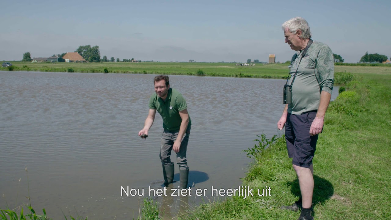 Vogelbescherming | Red de Rijke Weide
