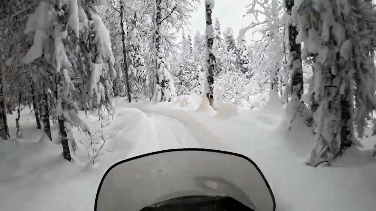Checking my upper Squirrel trapline after four feet of snow fall.