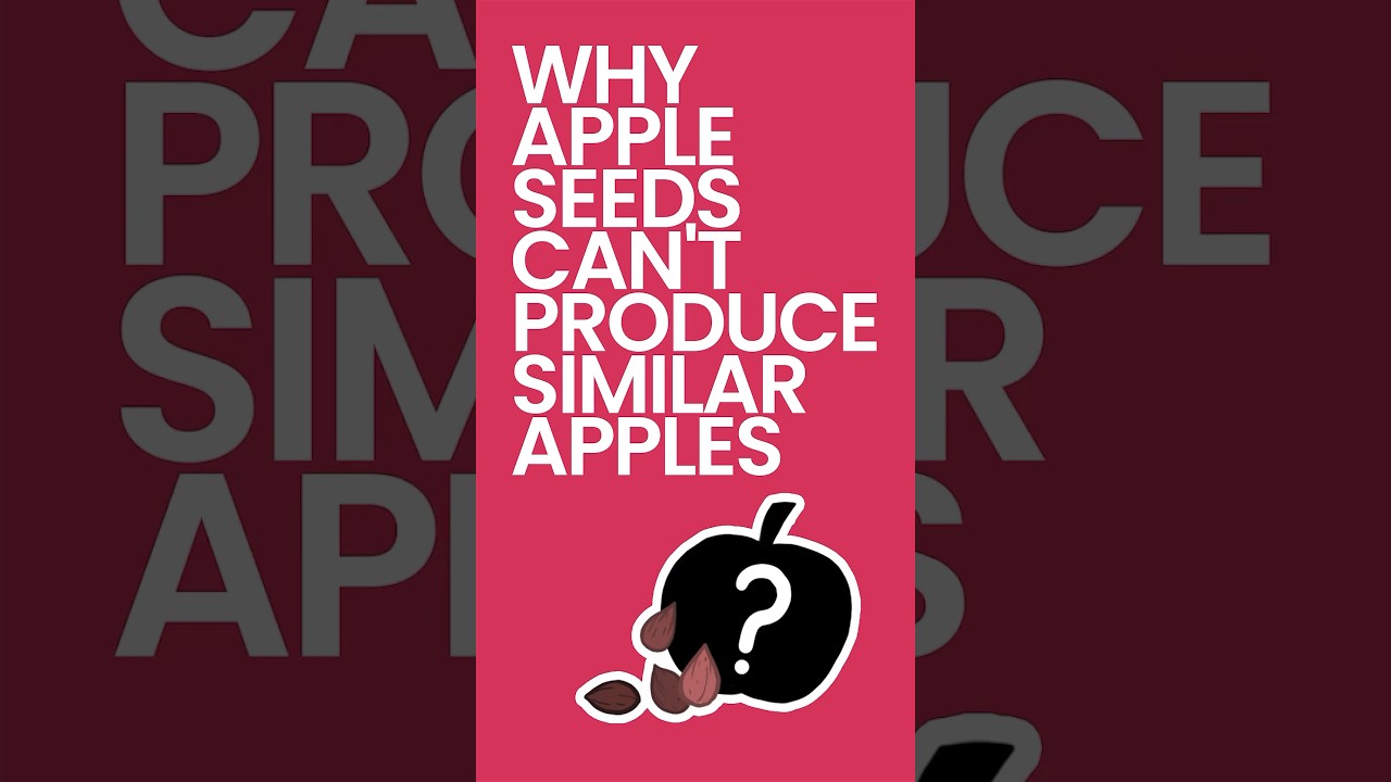 Why Apple Seeds Can't Produce Similar Apples