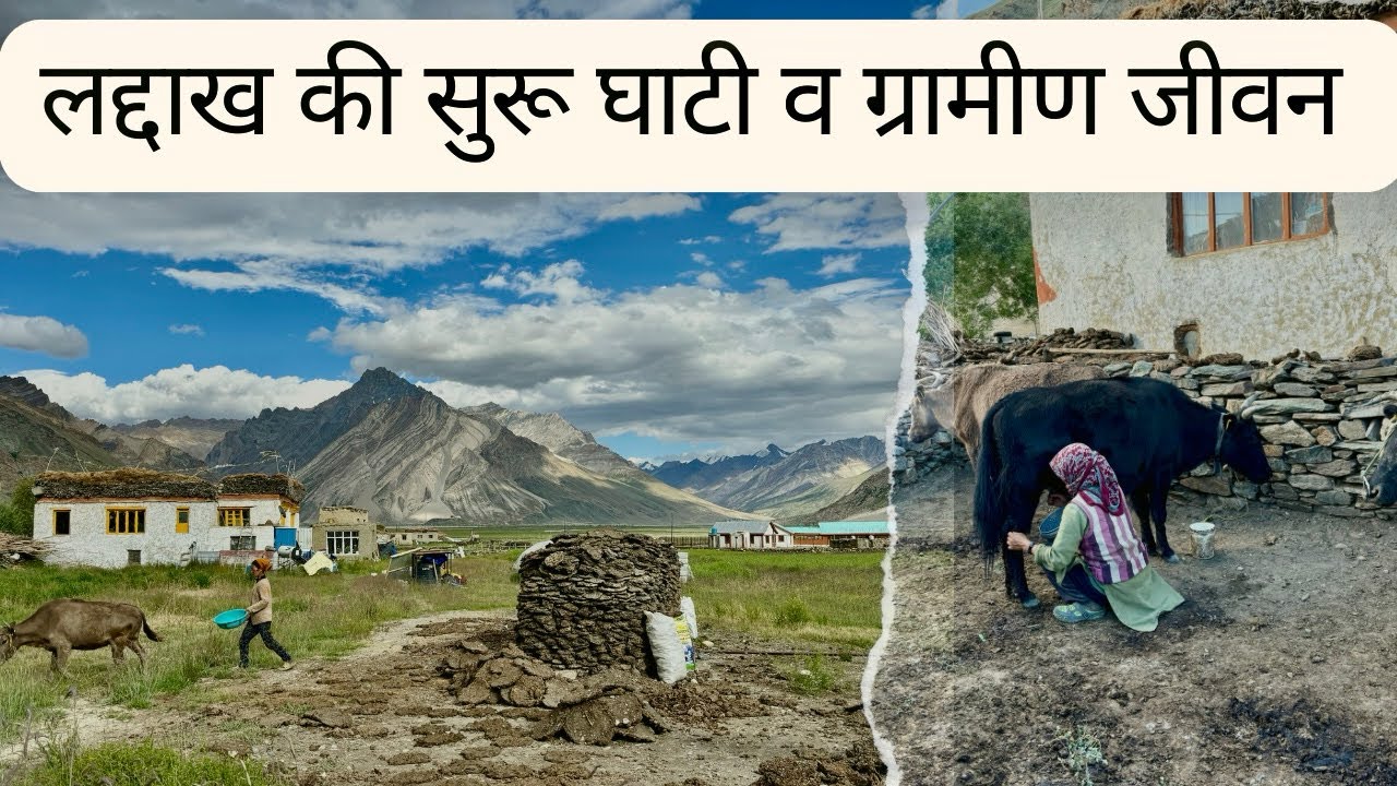 Suru Valley and the Ladakhi Village Life | लद्दाख की सुरू घाटी व वहाँ का ग्रामीण जीवन |