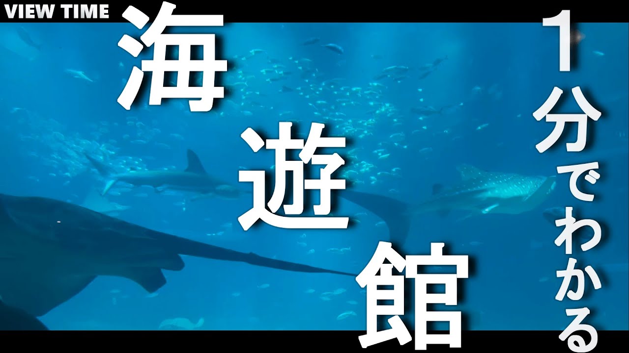【１分で解説】海遊館　(観光地紹介/大阪/旅行/デート/おすすめ/見どころ/料金/アクセス)