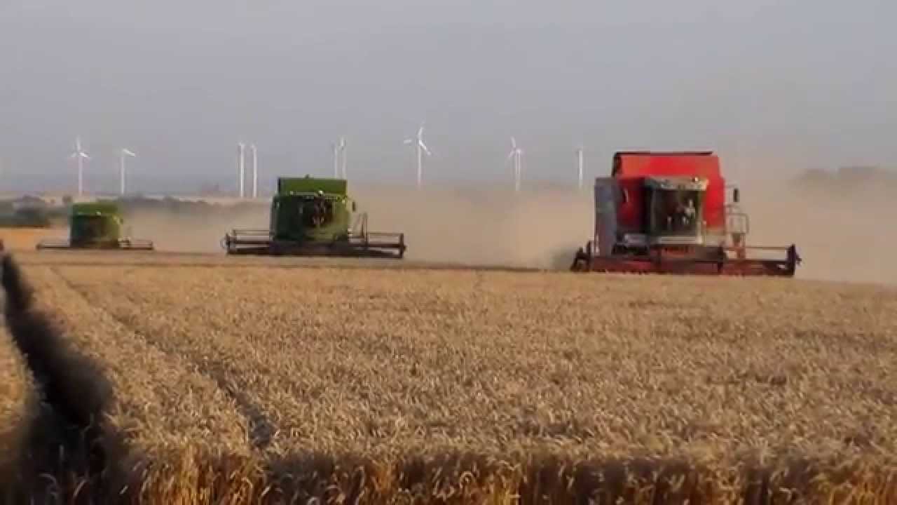 Erntekomplex bei Hamersleben in der Ernte 2015