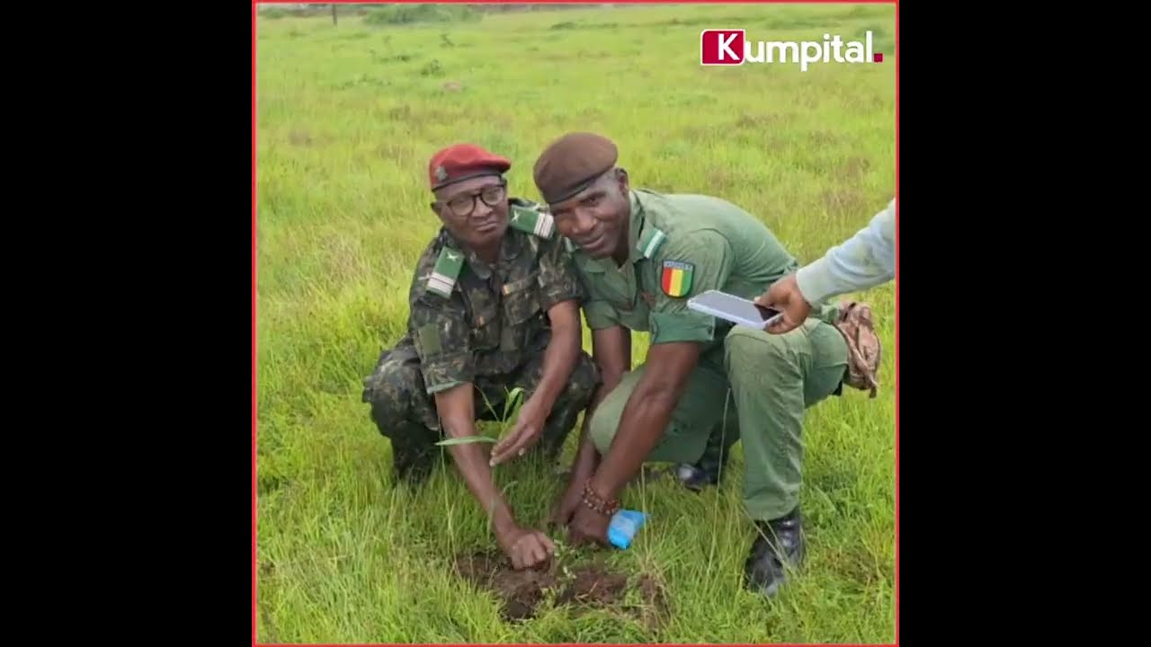 Labé 🇬🇳 : reboisement de 5000 plantes dans l'enceinte du Camp Elhadj oumar Tal. Suivez